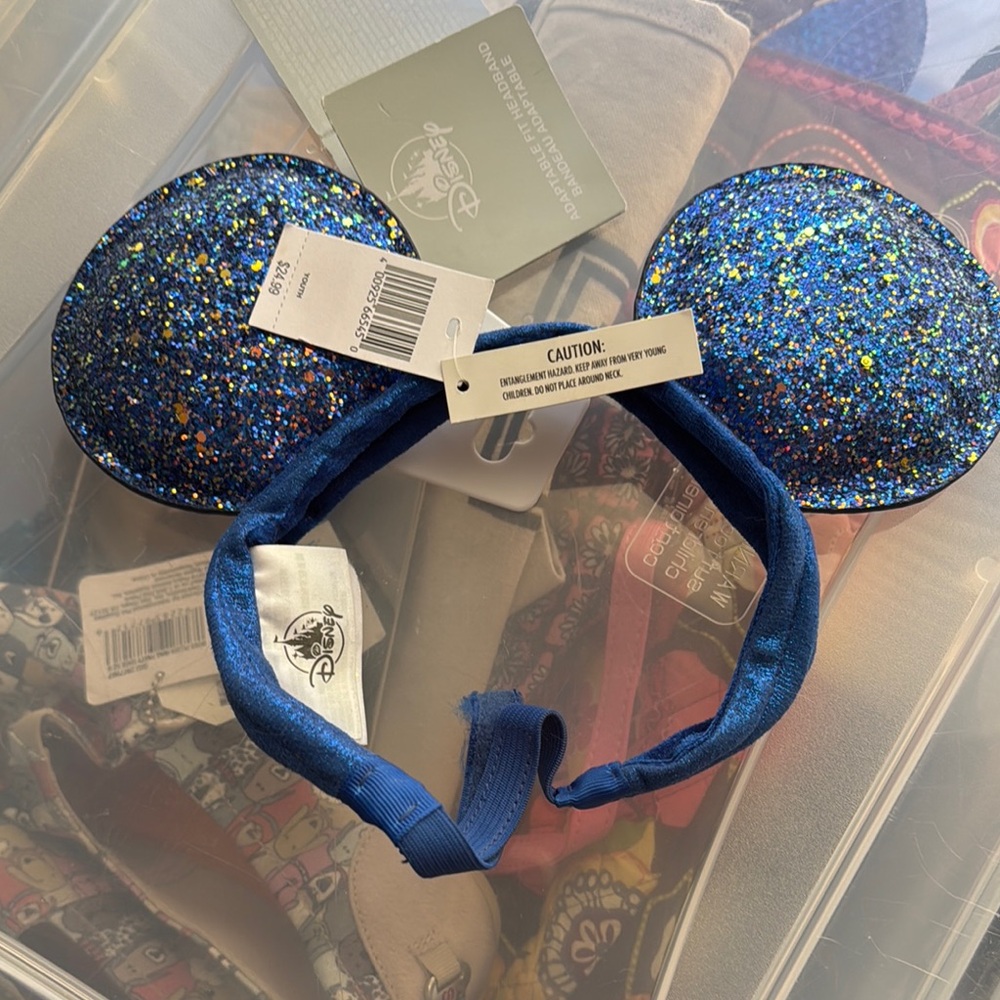 Youth Disney ears